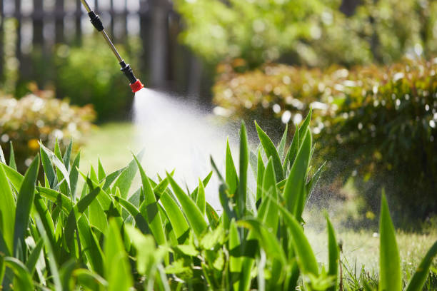 24/7 Emergency Mosquito Control experts in Hebron, IN