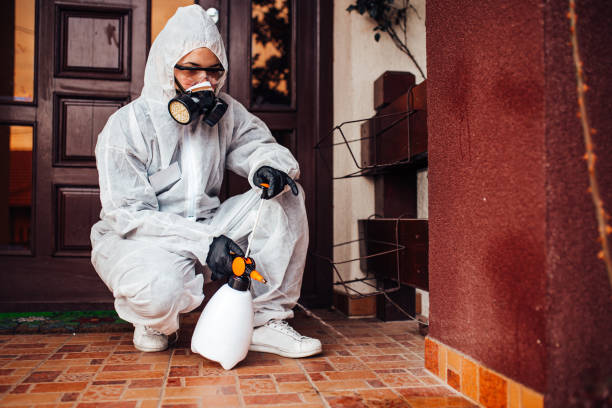 Reliable Mosquito Control contractor in Hebron, IN by Show Me Pest Control