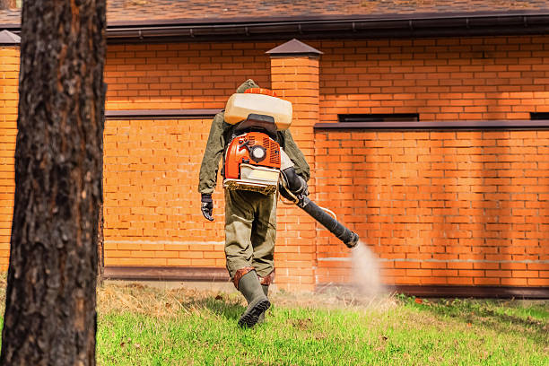 Top rated local Mosquito Control specialists in Hebron, IN